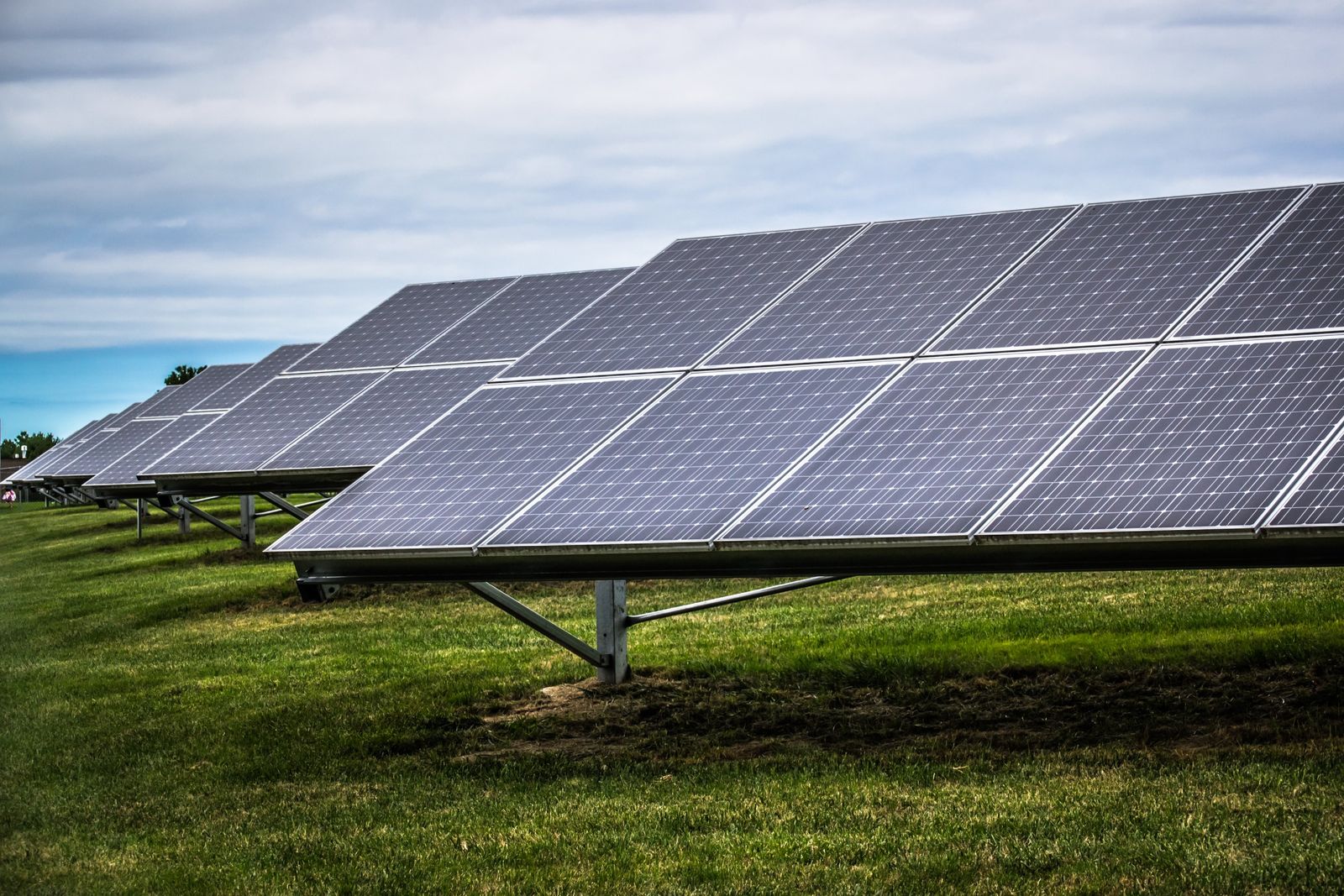 Fileiras de placas solares de uma usina sobre o gramado